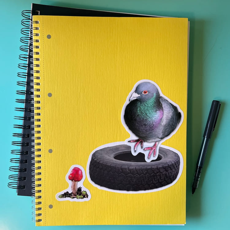 2021.12.12 PopSquish Amazon yellow notebook pigeon tire mushroom