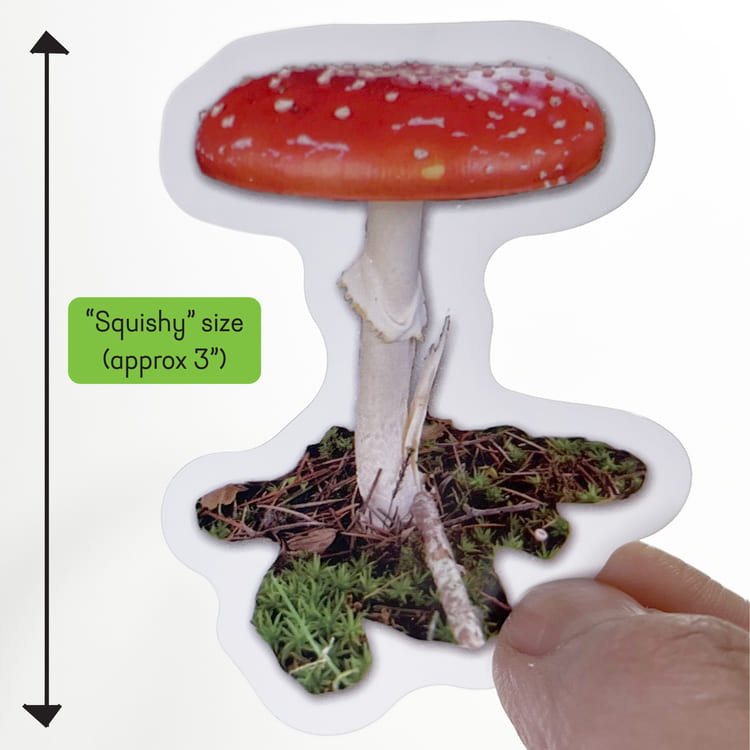 2021.12.14 Popsquish AMamzon ad mushroom 3 inch